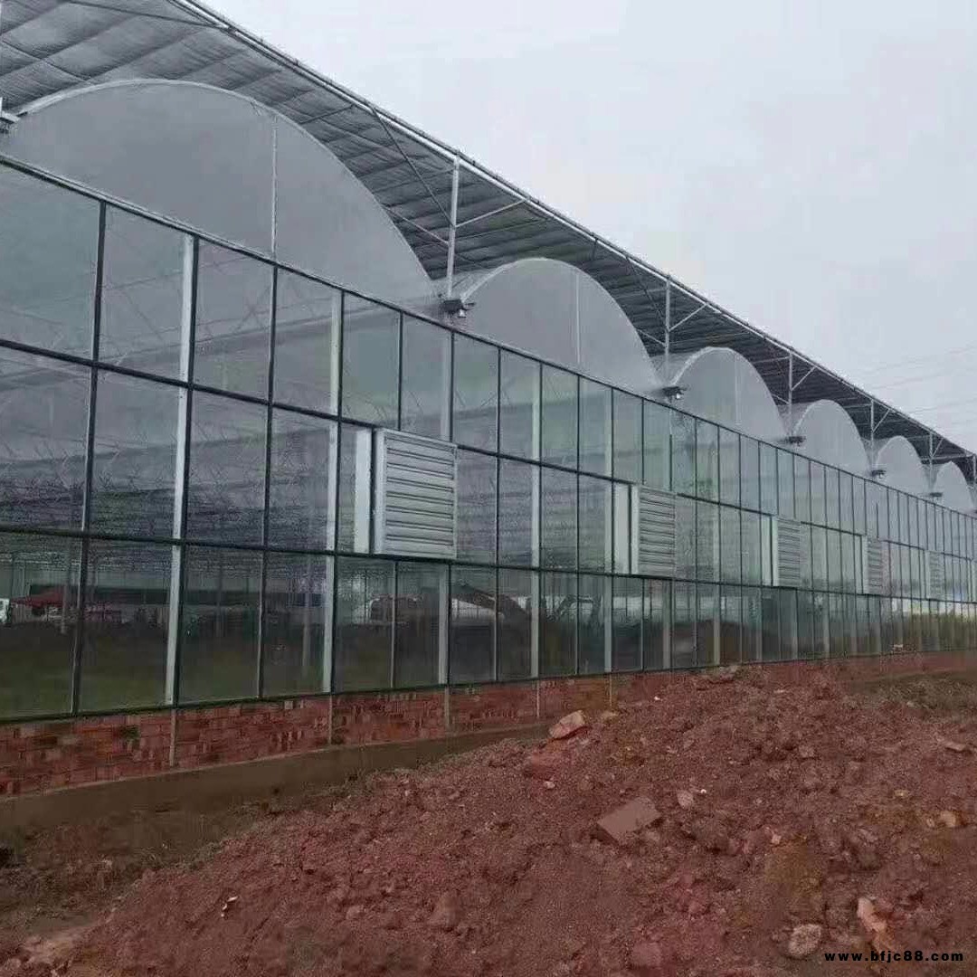 舜禹溫室 薄膜連棟溫室 雙拱雙膜智能溫室 雙拱雙膜標配溫室 育苗棚 花卉棚 供應(yīng)廠家 上門安裝