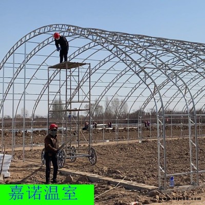 農(nóng)業(yè)種植大棚 雙膜骨架大棚 櫻桃種植雙膜骨架大棚 尺寸齊全規(guī)格可定制