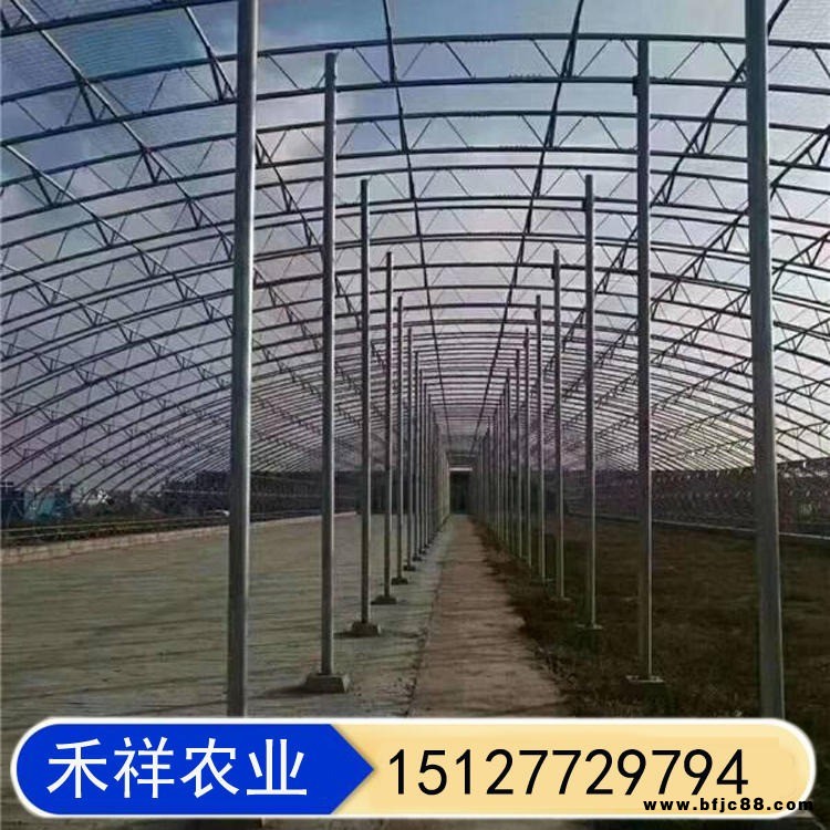雙模大棚骨架 薄膜保溫陽光大棚 雙膜骨架蔬菜大棚 禾祥農業 溫室大棚雙膜骨架