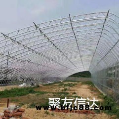 雙膜骨架大棚 雙膜骨架大棚材料 雙膜骨架大棚生產(chǎn)廠家