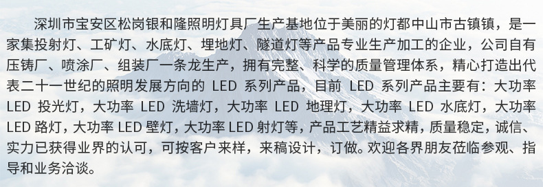 特價(jià)促銷 新款 高品質(zhì)LED大功力 120W150W雙頭投光燈泛光燈外殼示例圖18