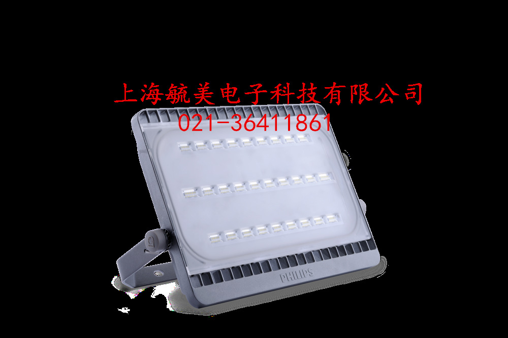 飛利浦Mini Tempo BVP161/30W/50W/70W/100W LED泛光燈/投光燈示例圖4