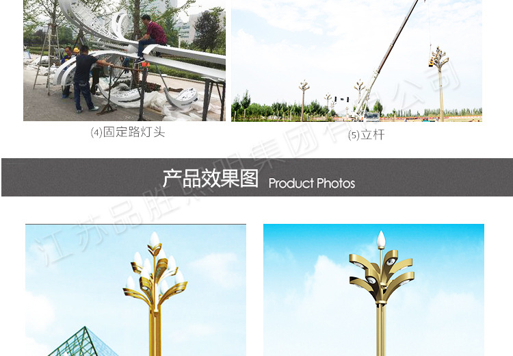 廠家直銷 新款戶外LED景觀燈 玉蘭燈 防水不銹鋼景觀玉蘭燈示例圖10