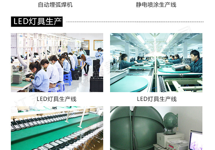 廠家直銷 新款戶外LED景觀燈 玉蘭燈 防水不銹鋼景觀玉蘭燈示例圖4