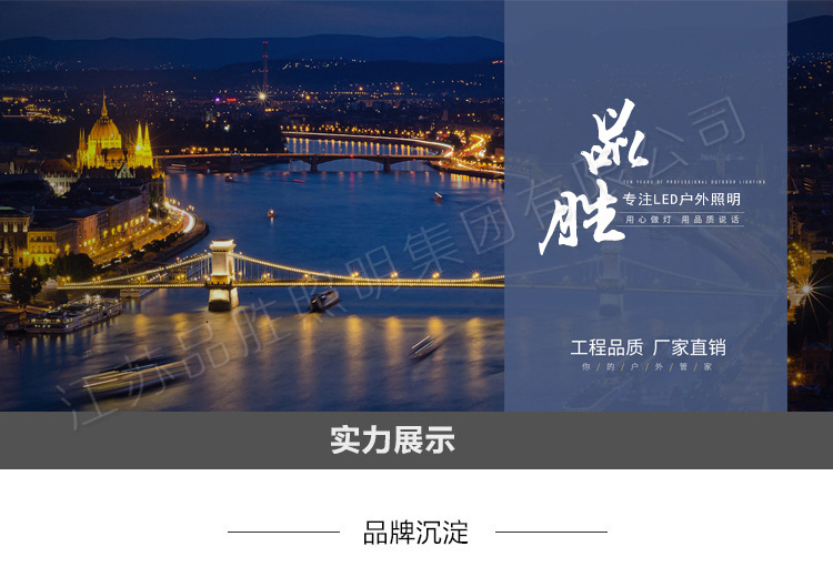 廠家直銷 新款戶外LED景觀燈 玉蘭燈 防水不銹鋼景觀玉蘭燈示例圖1