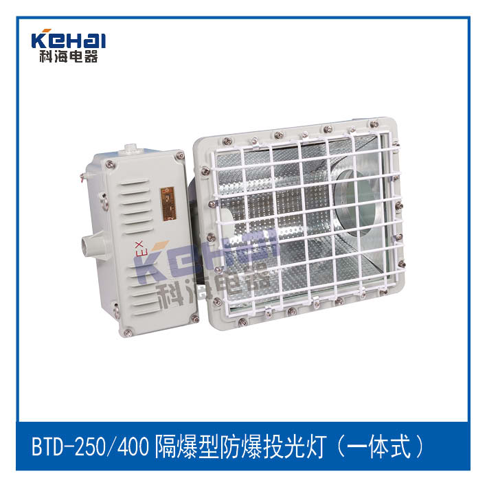 BTD-250/400防爆投光燈(一體式)示例圖3