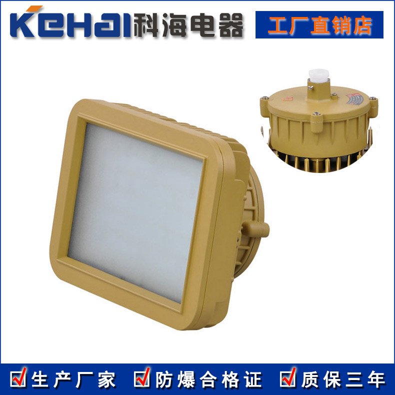 BED150隔爆型LED防爆投光燈 50W 70W示例圖4