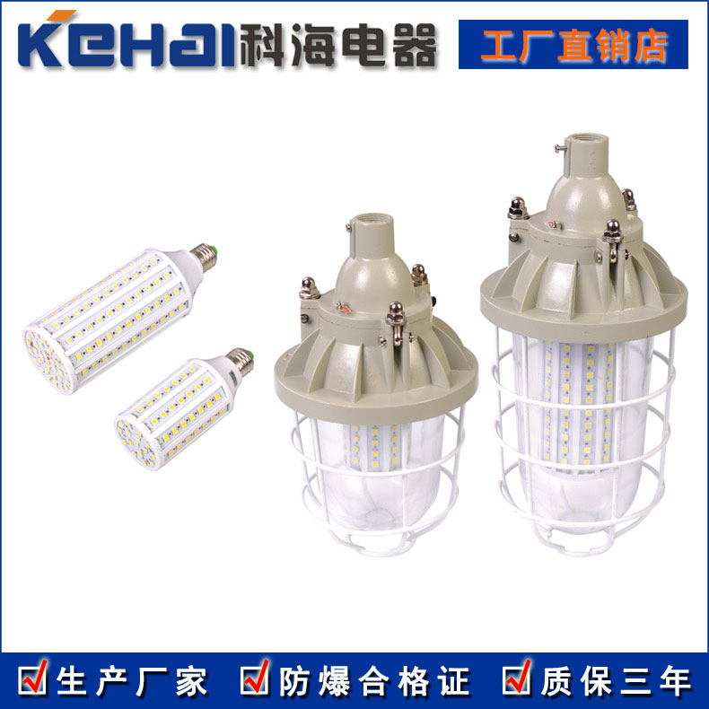BED150隔爆型LED防爆投光燈 30W 50W示例圖4