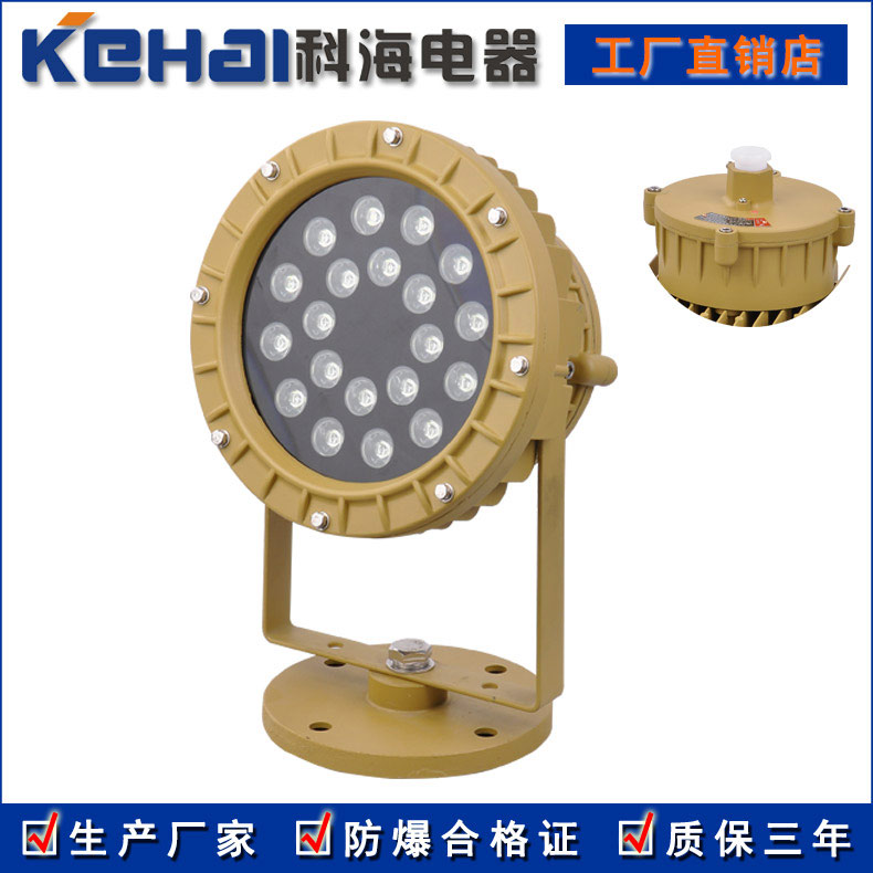 BED150隔爆型LED防爆投光燈 30W 50W示例圖1