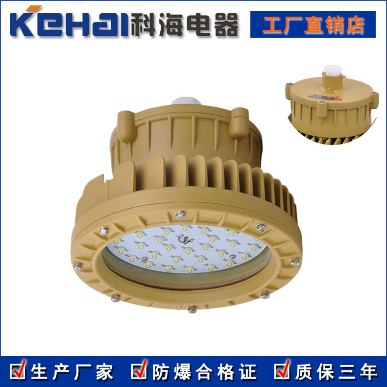 BED150隔爆型LED防爆投光燈 30W 50W示例圖2