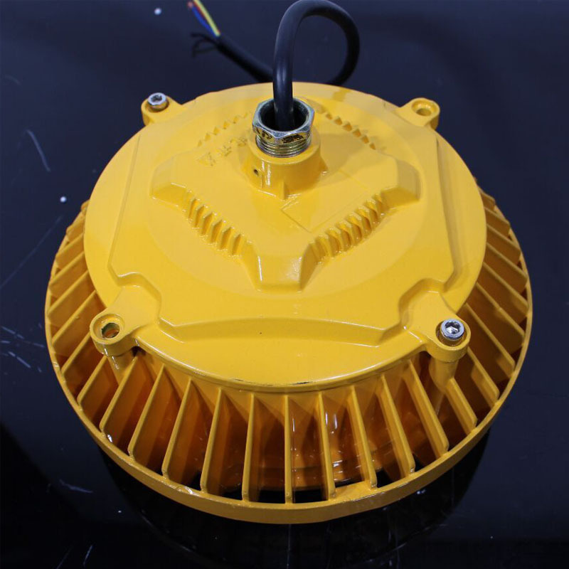 浙江led投光燈 礦用led防爆燈100W 節能led泛光燈150W 冷庫照明燈示例圖2