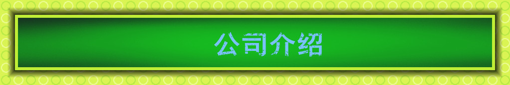 定制圓形景觀燈 公園廣場園林綠化路燈 庭院燈 戶外照明燈具示例圖134