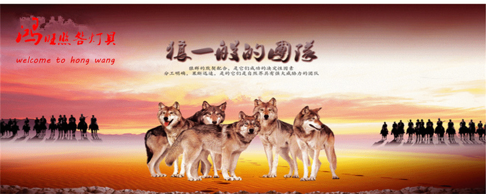 精美方形景觀燈戶外3米4米庭院燈高桿燈中桿燈公園廣場(chǎng)路燈花園燈示例圖144