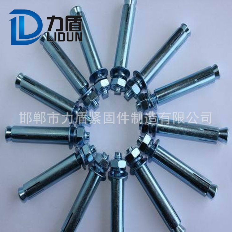 廠家直銷(xiāo) 國(guó)標(biāo)膨脹螺絲 M14 M16 M18 M20 膨脹螺栓 外膨脹螺栓示例圖3