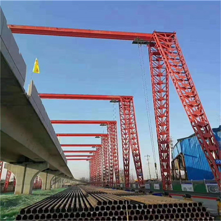 龍門起重機(jī) 冶金龍門吊 廠家價(jià)格