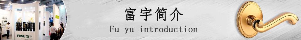 中山富宇歐式門鎖 豪華別墅大門鎖  小區(qū)鋅合金進(jìn)戶門鎖 門廠定制示例圖2