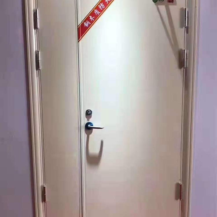 消防防火門 堅(jiān)固耐用 振爾門業(yè) 隱藏式閉門器防火門 質(zhì)優(yōu)價(jià)廉