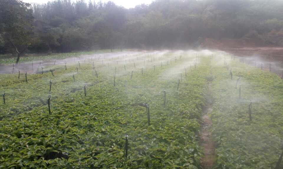 批發 pe32mm穿線管 pe電力給水排水管 pe塑料穿線管子定制示例圖14