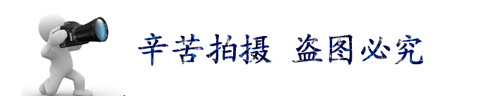 電動調節通風蝶閥生產廠家 氣動碳鋼管道通風閥 價格優惠示例圖20