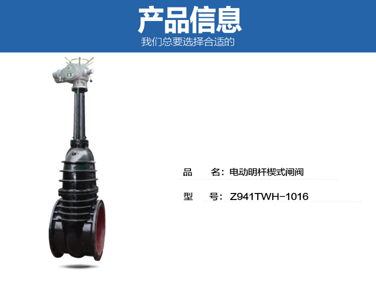廠家直銷內螺紋閘閥 電動明桿楔式閘閥 Z941TW示例圖2