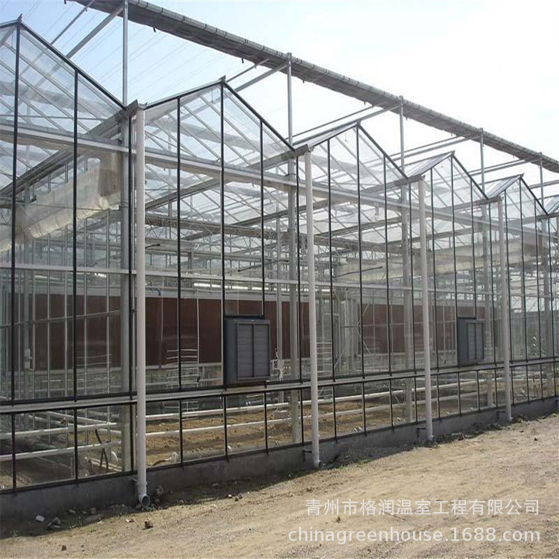 濰坊玻璃大棚玻璃溫室暢銷 智能化會種植溫室龍骨建設 溫室設計示例圖12