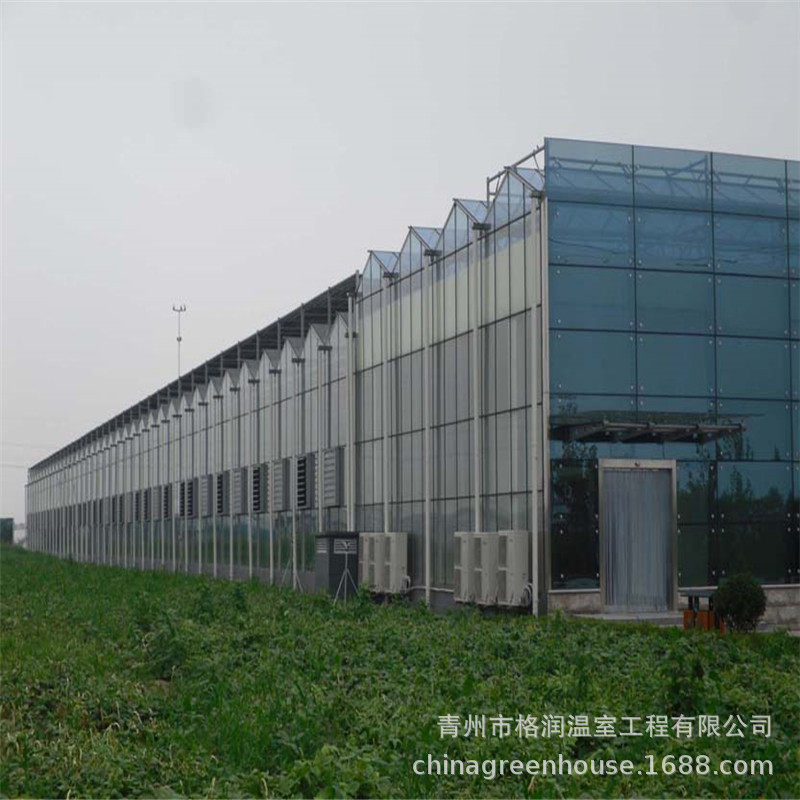 濰坊玻璃大棚玻璃溫室暢銷 智能化會種植溫室龍骨建設 溫室設計示例圖4