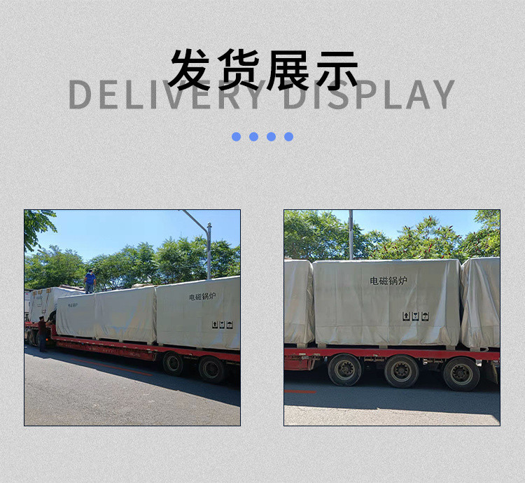 電加熱鍋爐 電磁鍋爐 半導(dǎo)體電鍋爐 林成示例圖4