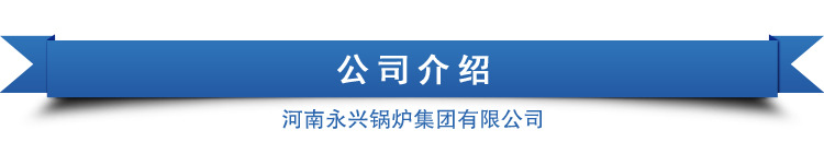 太康 永興鍋爐天然氣采暖爐 醇基燃料鍋爐價(jià)格廠家直銷示例圖22