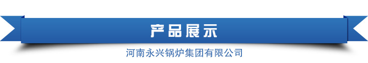 太康 永興鍋爐天然氣采暖爐 醇基燃料鍋爐價(jià)格廠家直銷示例圖2