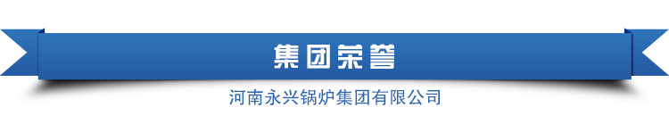 太康 永興鍋爐天然氣采暖爐 醇基燃料鍋爐價(jià)格廠家直銷示例圖18