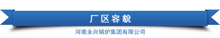 太康 永興鍋爐天然氣采暖爐 醇基燃料鍋爐價(jià)格廠家直銷示例圖13