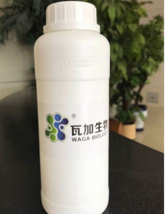 廣東正規水性木器漆專用抗菌劑
