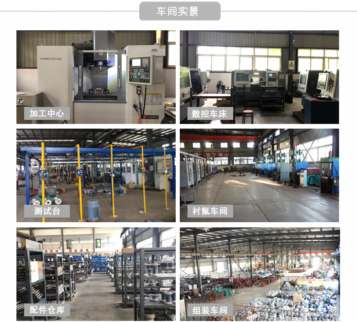 Dby電動(dòng)隔膜泵 酸、堿、溶劑、混合物、壓濾機(jī)、乳膠專(zhuān)用泵 騰龍示例圖8