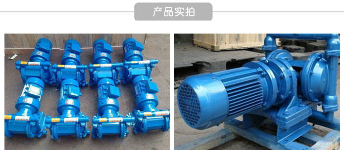 Dby電動(dòng)隔膜泵 酸、堿、溶劑、混合物、壓濾機(jī)、乳膠專(zhuān)用泵 騰龍示例圖9
