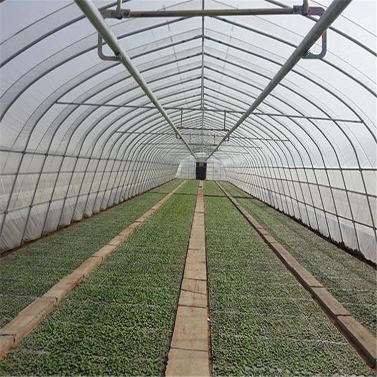 鼎誠雙膜骨架 農用大棚骨架 供應雙膜骨架 發貨及時 農用大棚骨架發貨及時