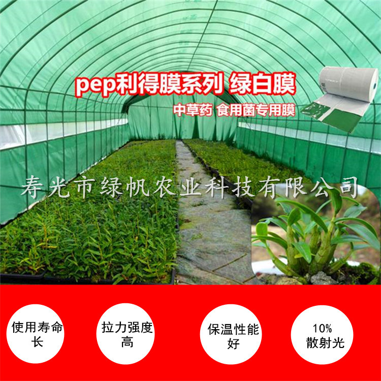 PEP 綠白膜 (4).jpg