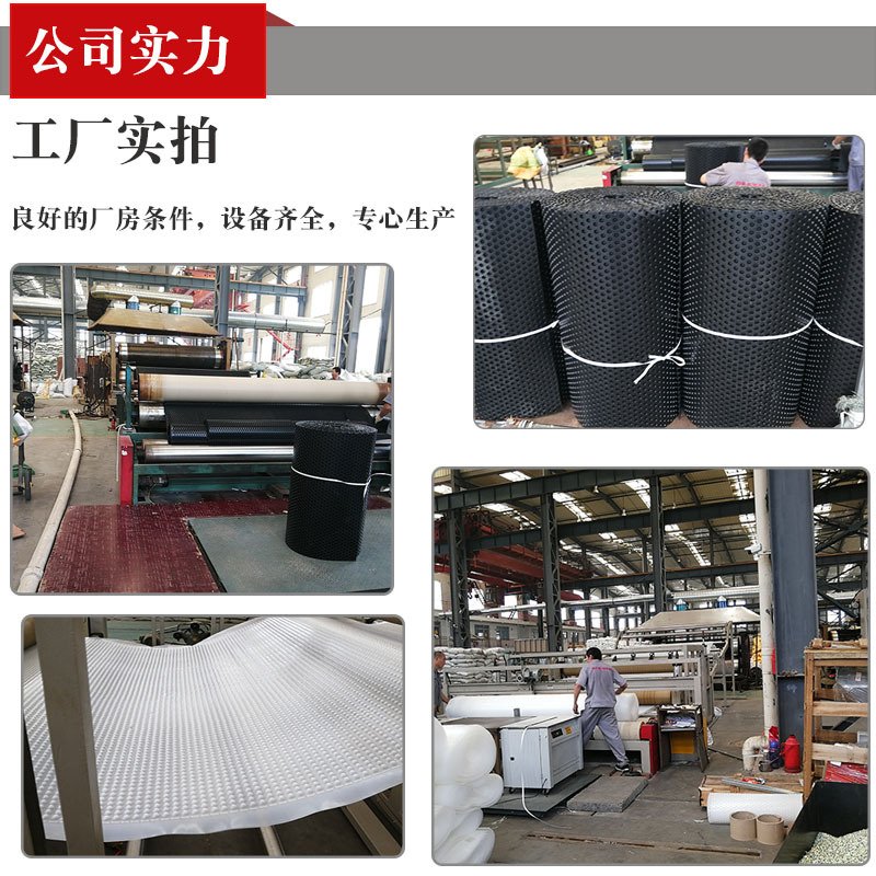 隆通廠家直銷價格優惠蓄水排水板卷材 現貨批發 綠化塑料排水板示例圖8