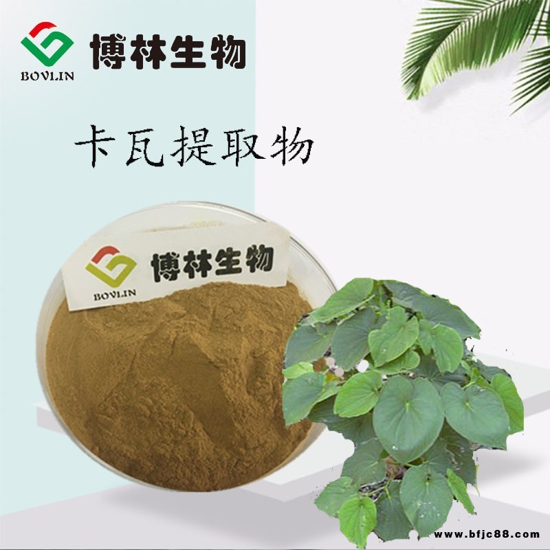 卡瓦提取物10:1  卡瓦內(nèi)酯 卡瓦濃縮噴霧干燥粉  廠家包郵
