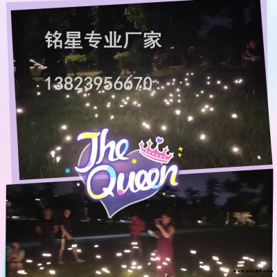 螢火蟲燈 廠家定制 夜景燈   LED景觀燈 銘星燈飾 戶外防水燈 價(jià)格優(yōu)惠 LED草坪燈