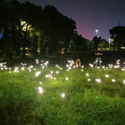 動(dòng)態(tài)螢火蟲燈專業(yè)生產(chǎn)工廠銘星源頭戶外螢火蟲燈廠家  專業(yè)戶外景觀燈生產(chǎn)