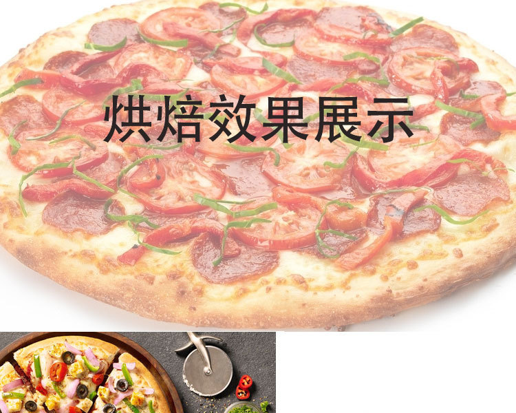 佳斯特EP-2雙層磚底電披薩爐商用電比薩爐烤爐JUSTA烘焙設備烤箱示例圖12