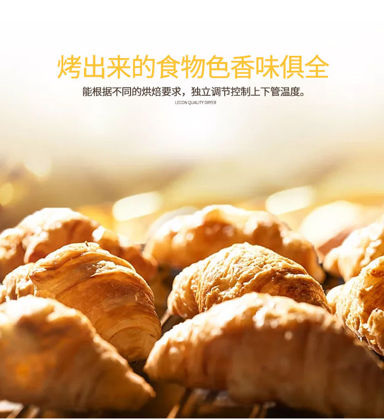 佳斯特EP-2雙層磚底電披薩爐商用電比薩爐烤爐JUSTA烘焙設備烤箱示例圖21